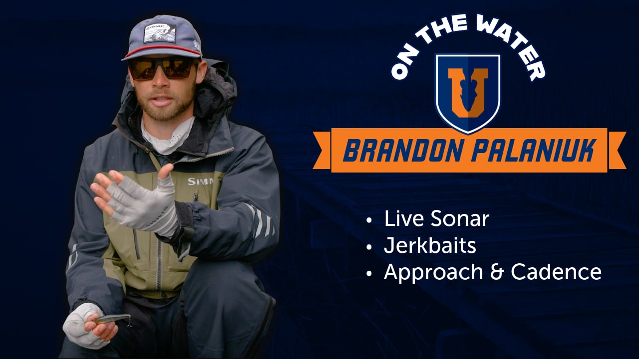 Jerkbaits & Forward-Facing Sonar - Brandon Palaniuk