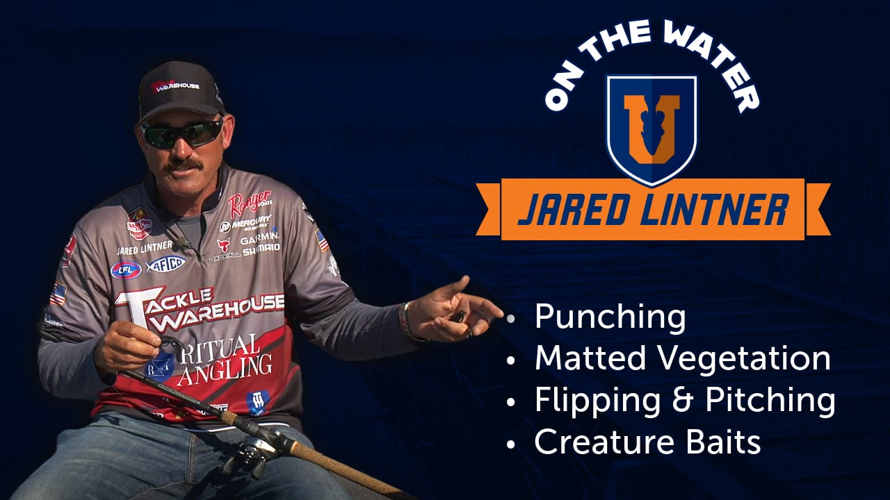 Tackling Bass in Grass: How to Punch Matted Vegetation - Jared Lintner
