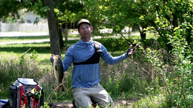 Take it to the Bank : Ep 6 - Sight Fi...