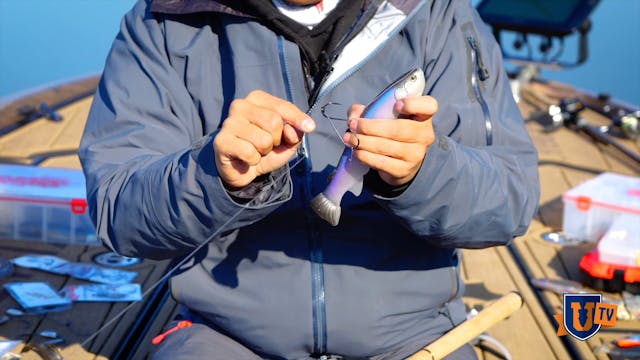 Rigging & Fishing Extra Large Swimbai...