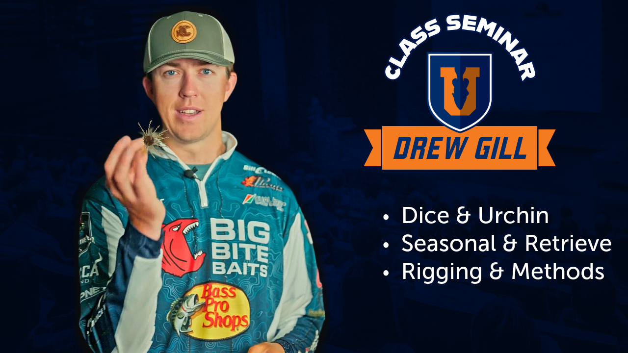 Dice & Urchin Baits - Drew Gill