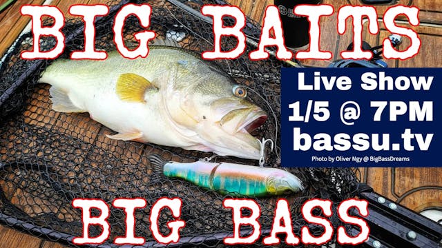 Swimbaits & Big Baits for Big Bass - ...