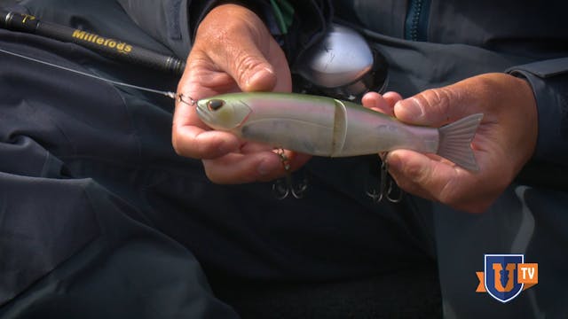 Fishing Big Glide Baits for Bass - Jo...
