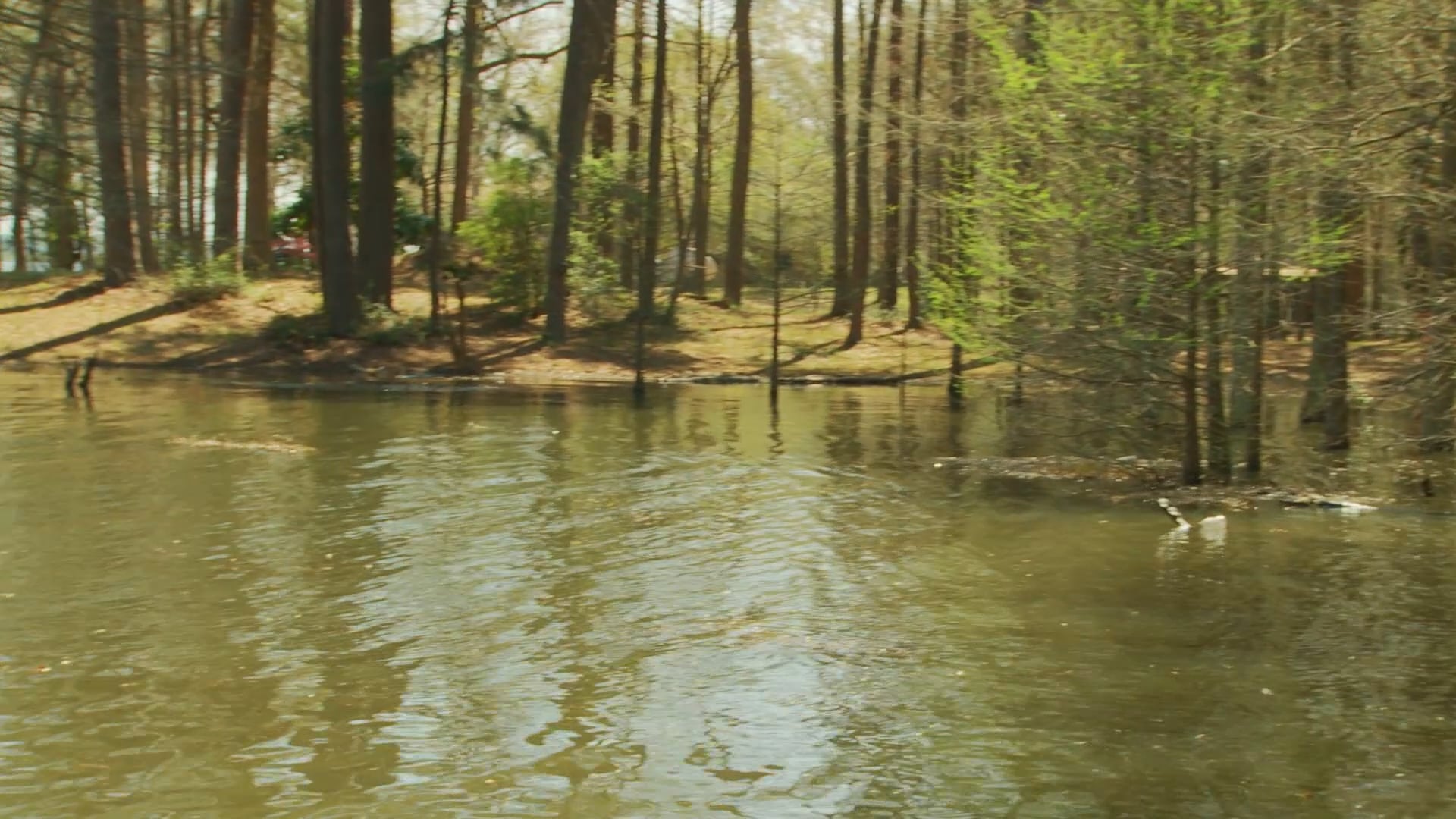 Rising Water - Pete Gluszek On the Water