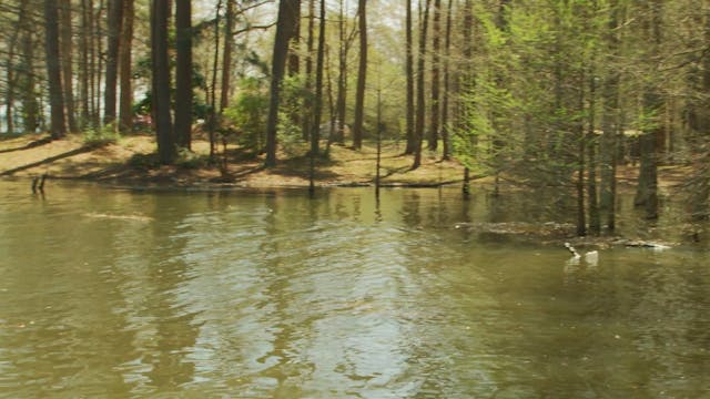 Rising Water - Pete Gluszek On the Water