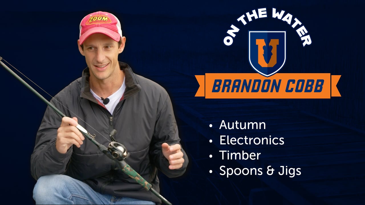 Standing Timber Fall & Winter Bass Fishing - Brandon Cobb