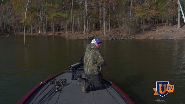 Shallow Cranking - Rob Digh