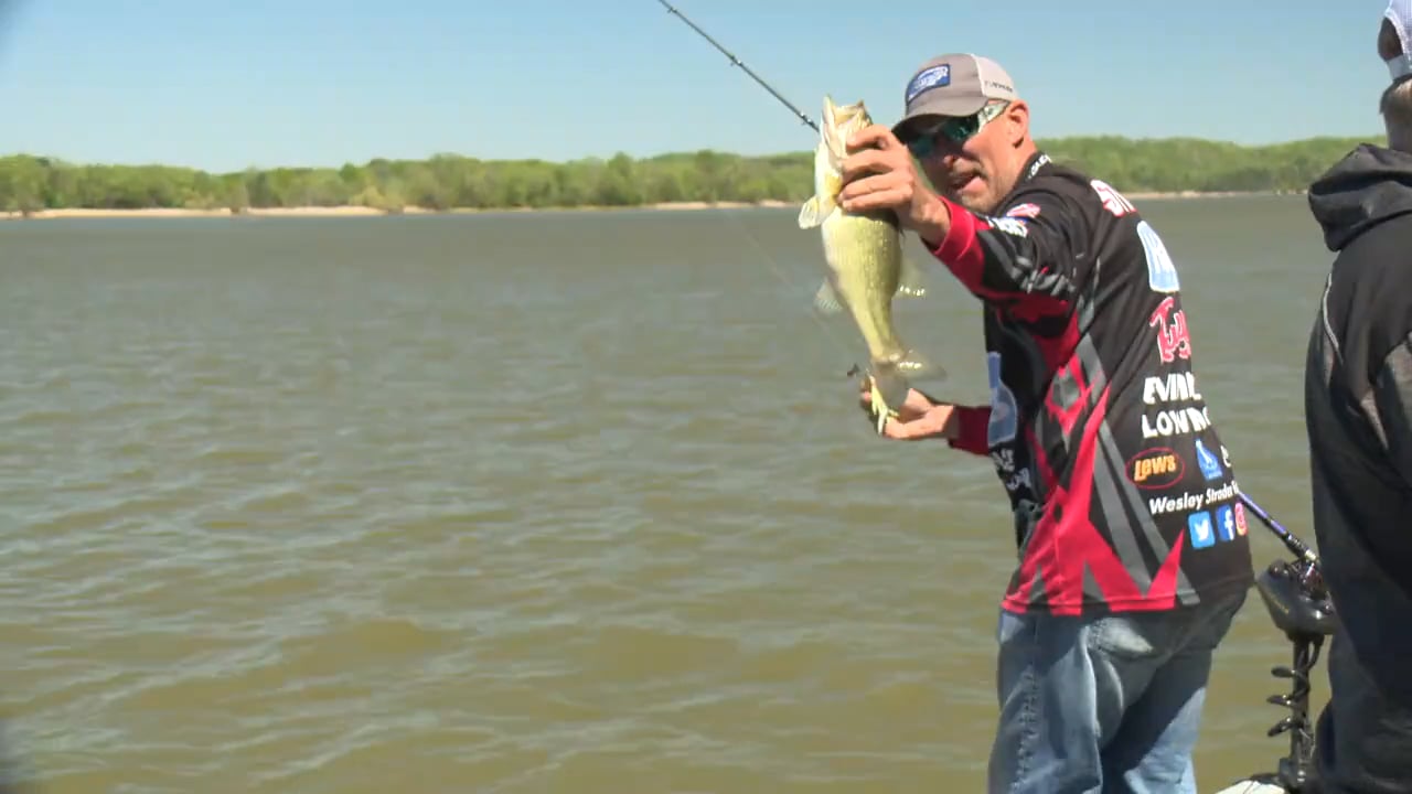 Strader 1 Hour 5 Bass Challenge : Chickamauga