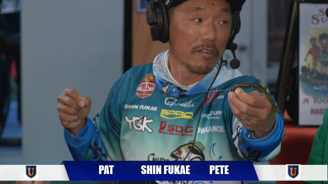 Shinichi Fukae - What is a Free Rig?