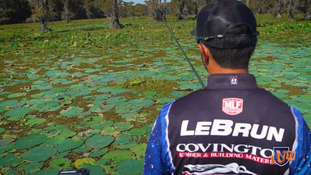 In-Depth Punching : Hidden Bass The O...