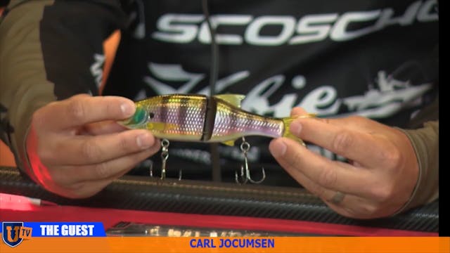 3 Scenarios for Glide Bait Tournament...