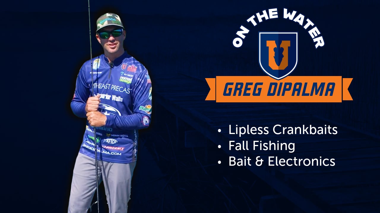 Fishing Lipless Crankbaits in the Fall - Greg DiPalma