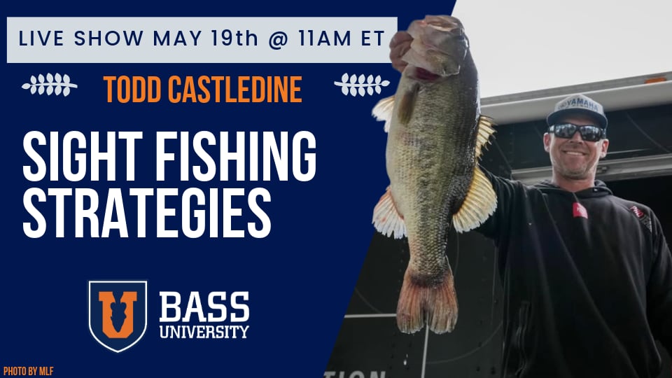 Todd Castledine | Sight Fishing Strategies - BU Live #413