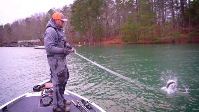 Underspins & Swimbaits - Rob Jordan