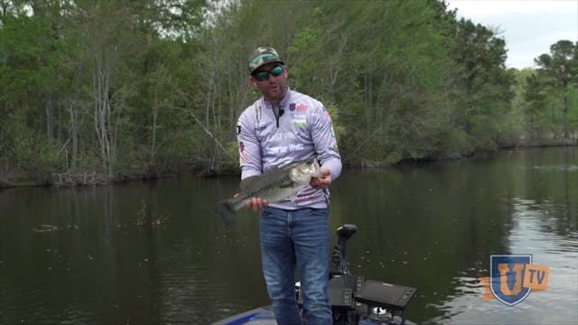 Fishing Buzzbaits & Prop Baits in Pre...