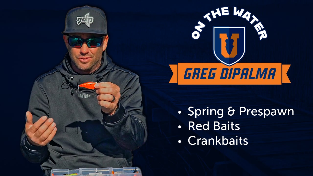 Seeing Red: Springtime Cranking Prespawn Bass - Greg DiPalma