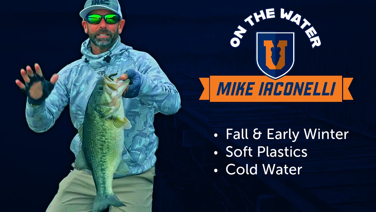 Ike's Top 3 For Fall & Early Winter: Soft Baits - Mike Iaconelli