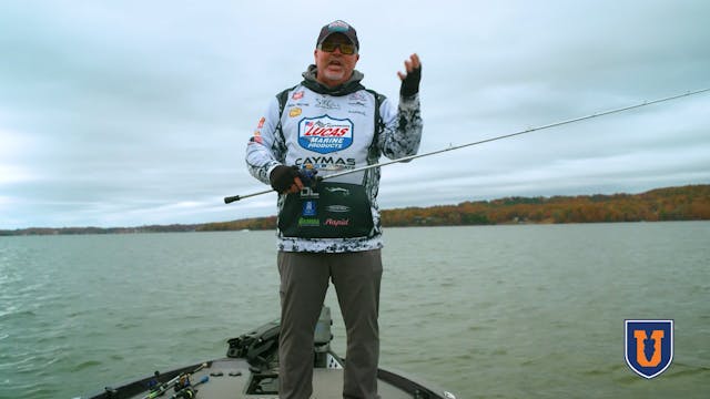Effective Tips & Techniques for Fishi...