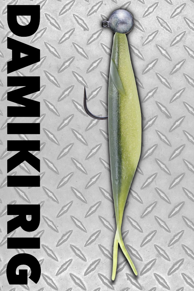 How to Fish a Damiki Rig
