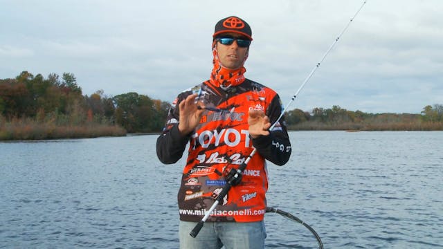 Vibrating Jigs - Mike Iaconelli On th...