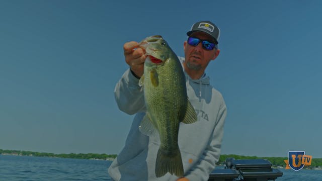 The Ned Rig: Simple Finesse Rig That ...