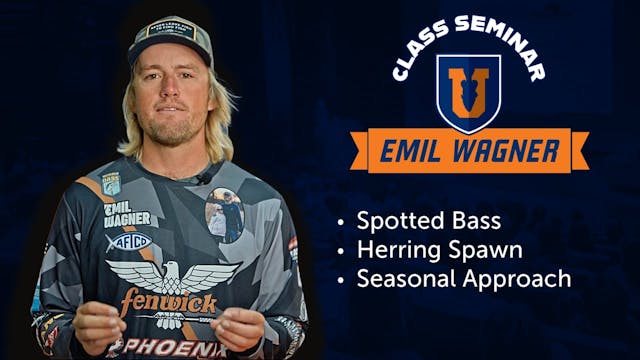 Seasonal Patterns For The Tenacious S...