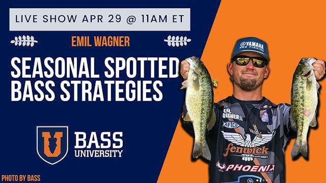 The ONLY Baits You Really Need For Sp...