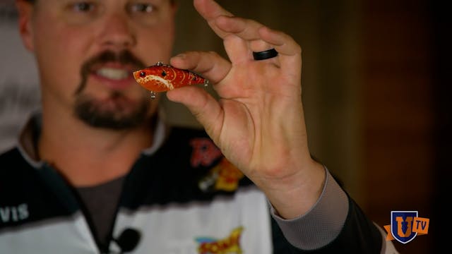 Lipless Crankbaits For Every Season -...