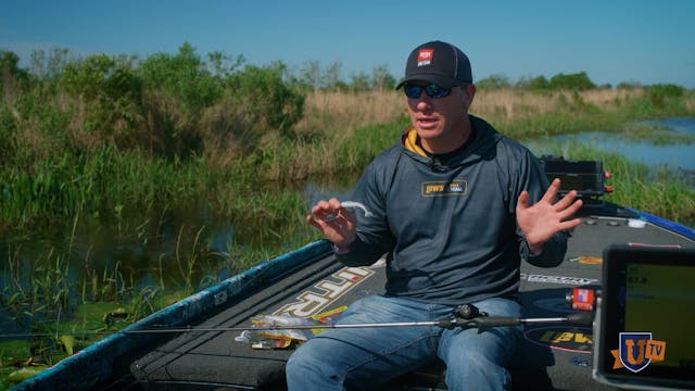 Power Of The Buzzbait: Switch from Sk...