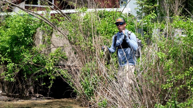 Take it to the Bank : Ep 4 - Fishing ...