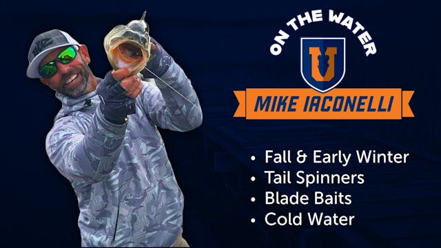 Ike's Top 3 For Fall & Early Winter: ...