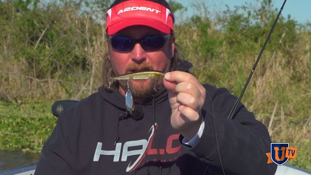 Topwater Baits for Spawning Bass - JT...