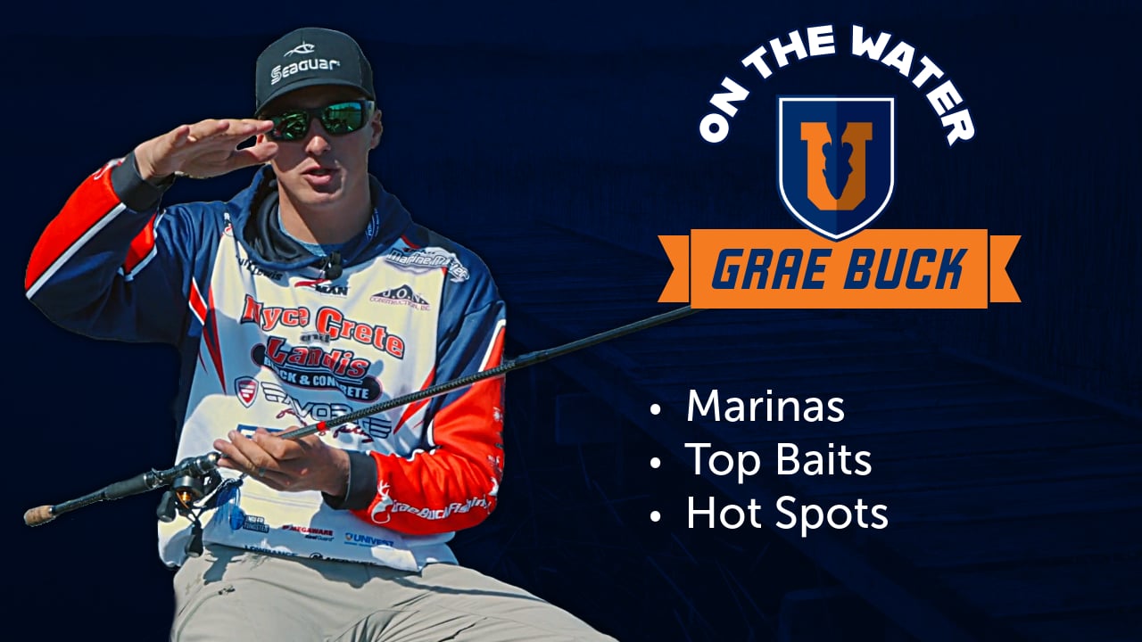 Targeting Bass in Marinas - Grae Buck