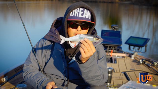 Bass Fishing with Glide Baits - Olive...