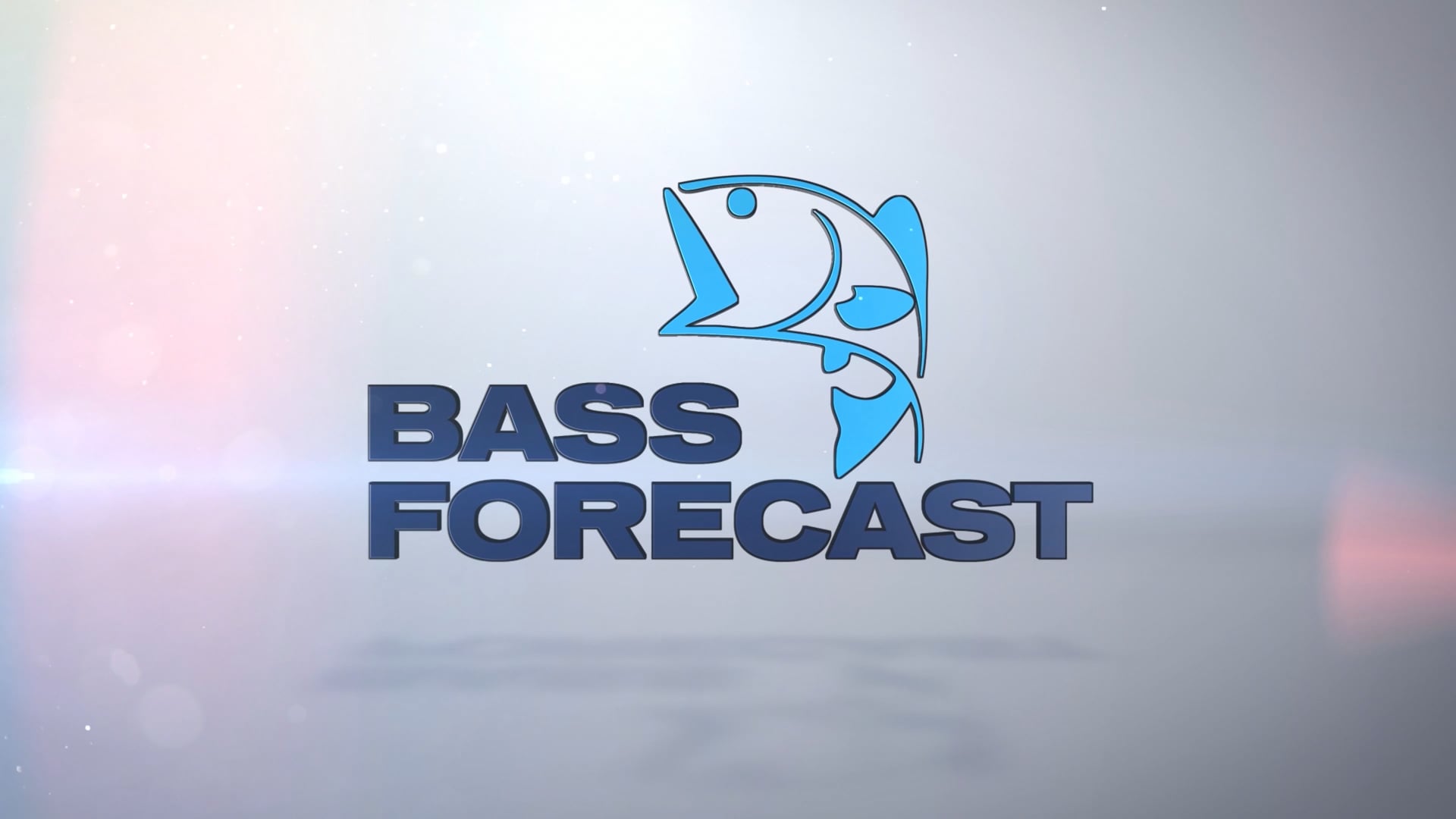 Bass Forecast