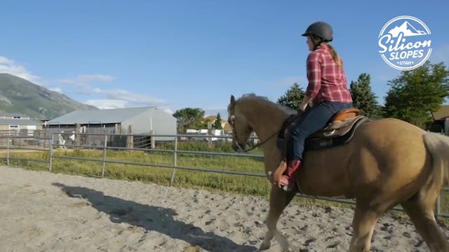 Changing Lives Through Horses & Habits