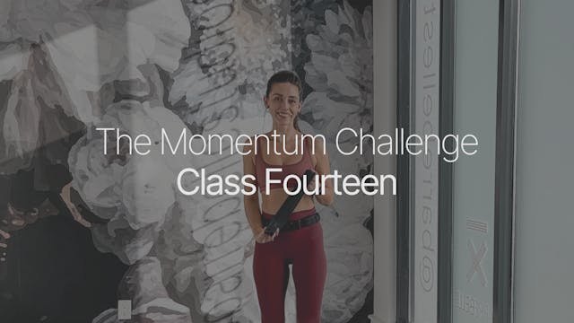 Class Fourteen — Signature AAA | Dani...