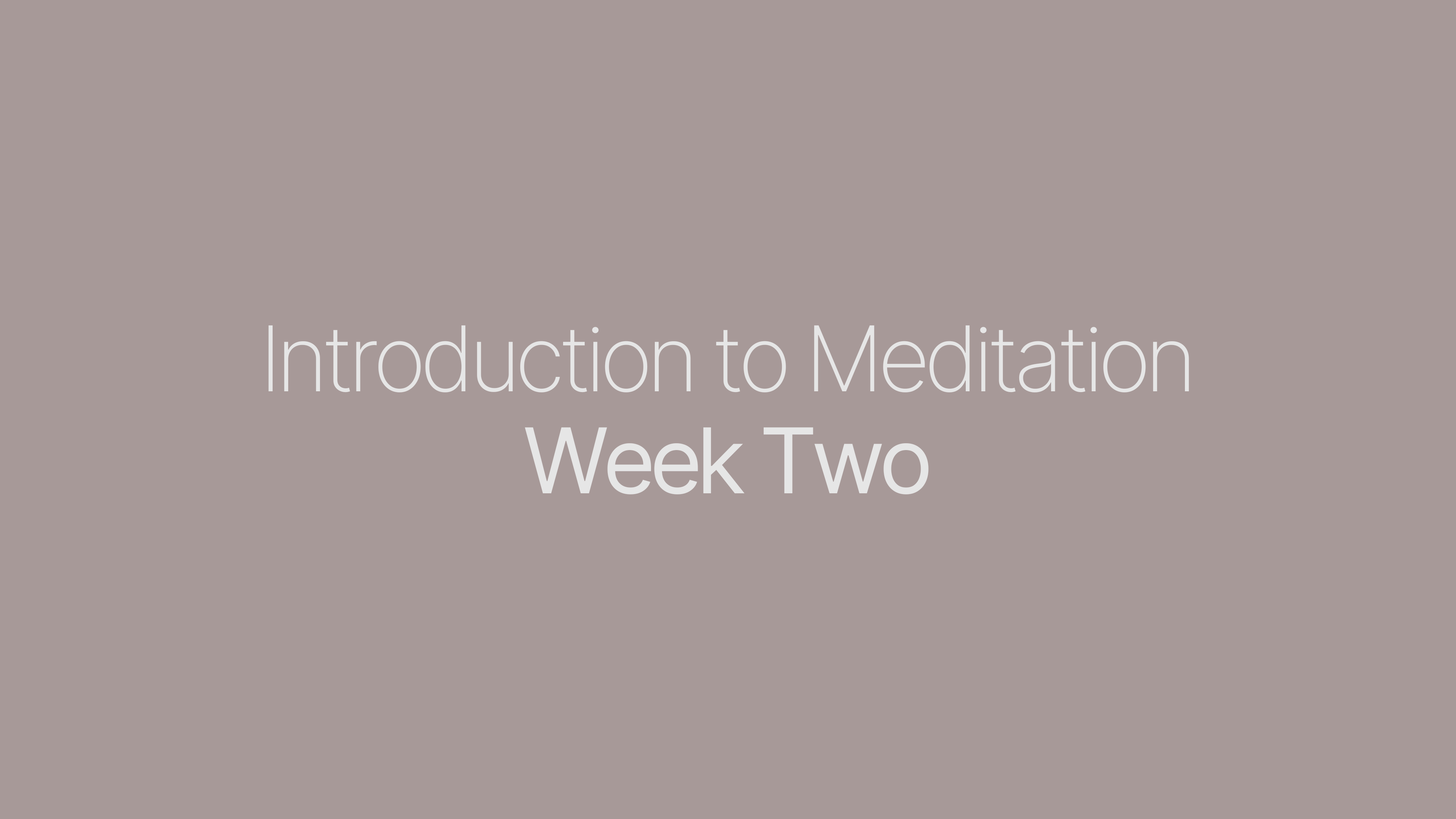 Intro to Meditation 2.0 | Danielle