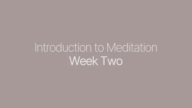 Intro to Meditation 2.0 | Danielle