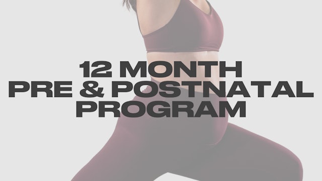 Pre & Postnatal Program