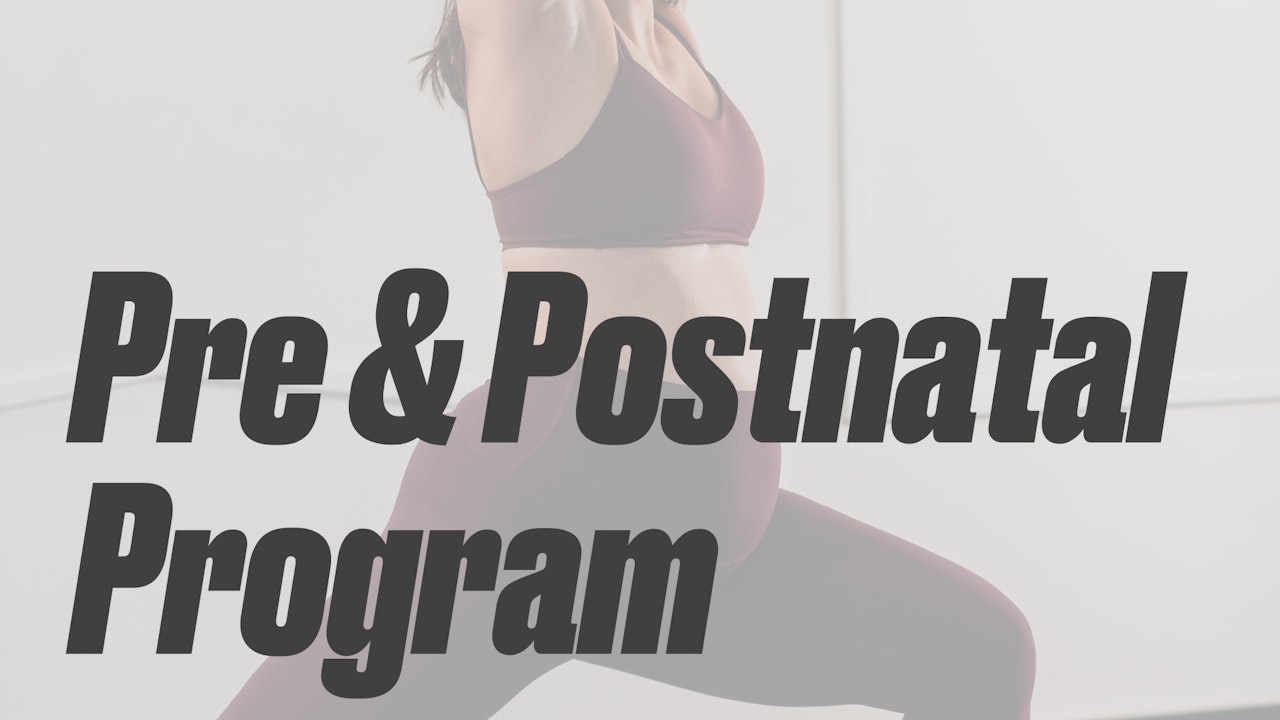 Pre & Postnatal Program