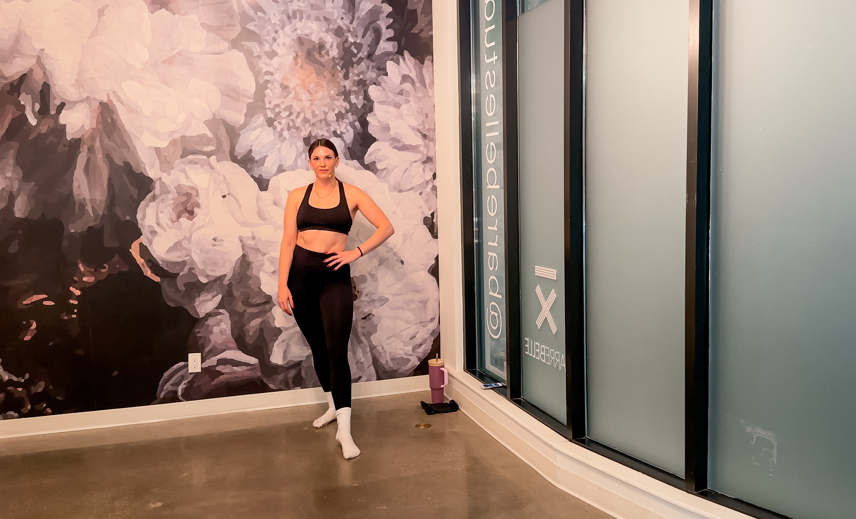 Ankle Weight Signature Barre | Jenna