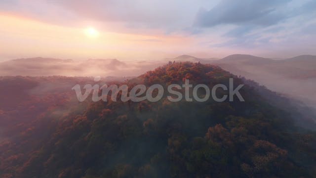 Flying towards the sun above a misty autumn forest at sunset.