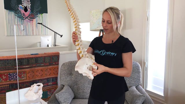 Anatomy of the back – Bones