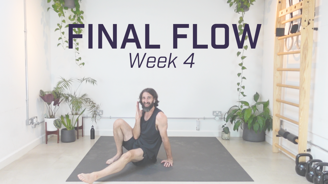 Week 4 - Final Flow