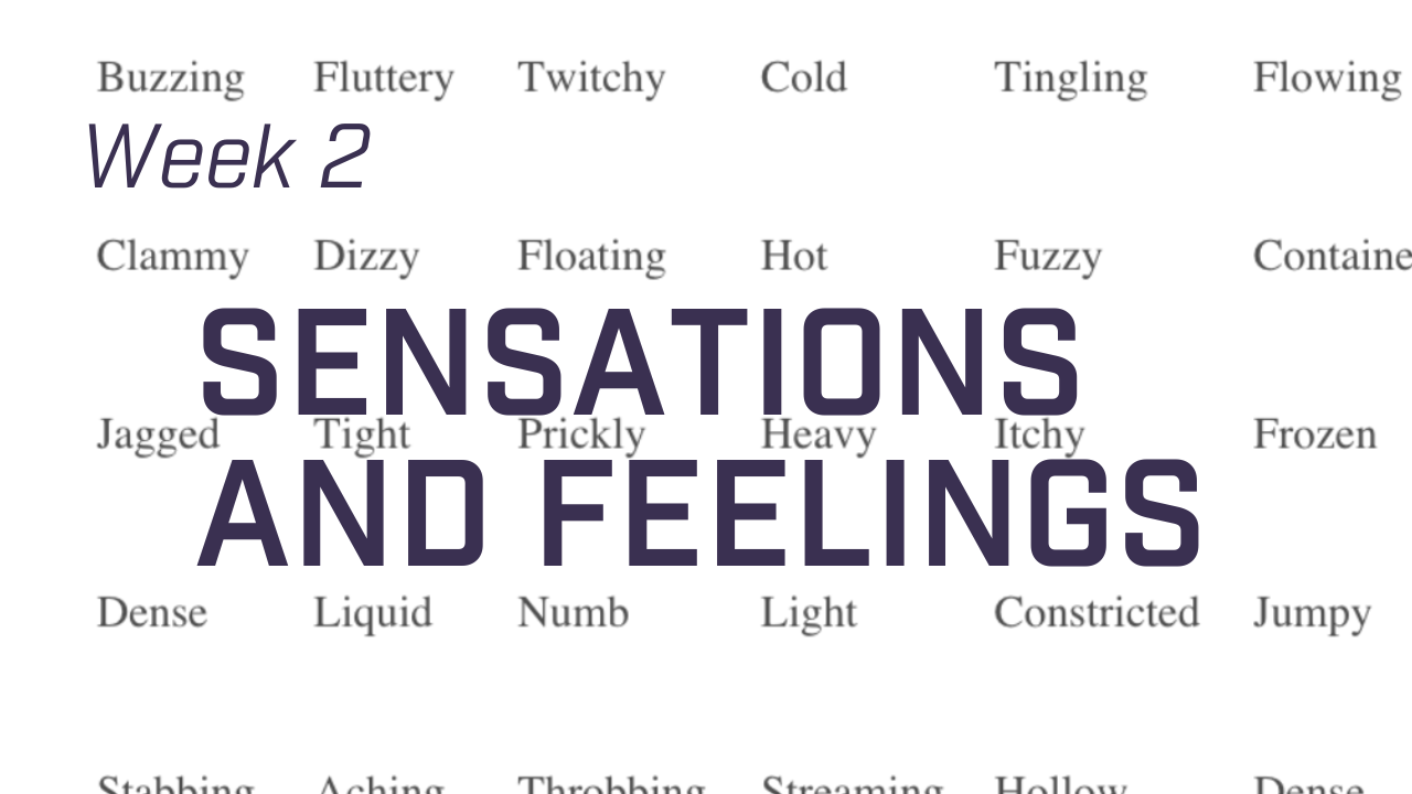 Sense and Feel Cheat Sheet