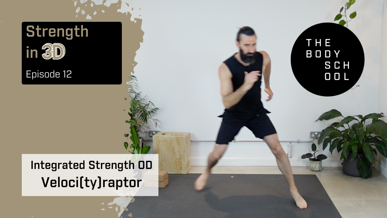 Veloci(ty)raptor (21st September)