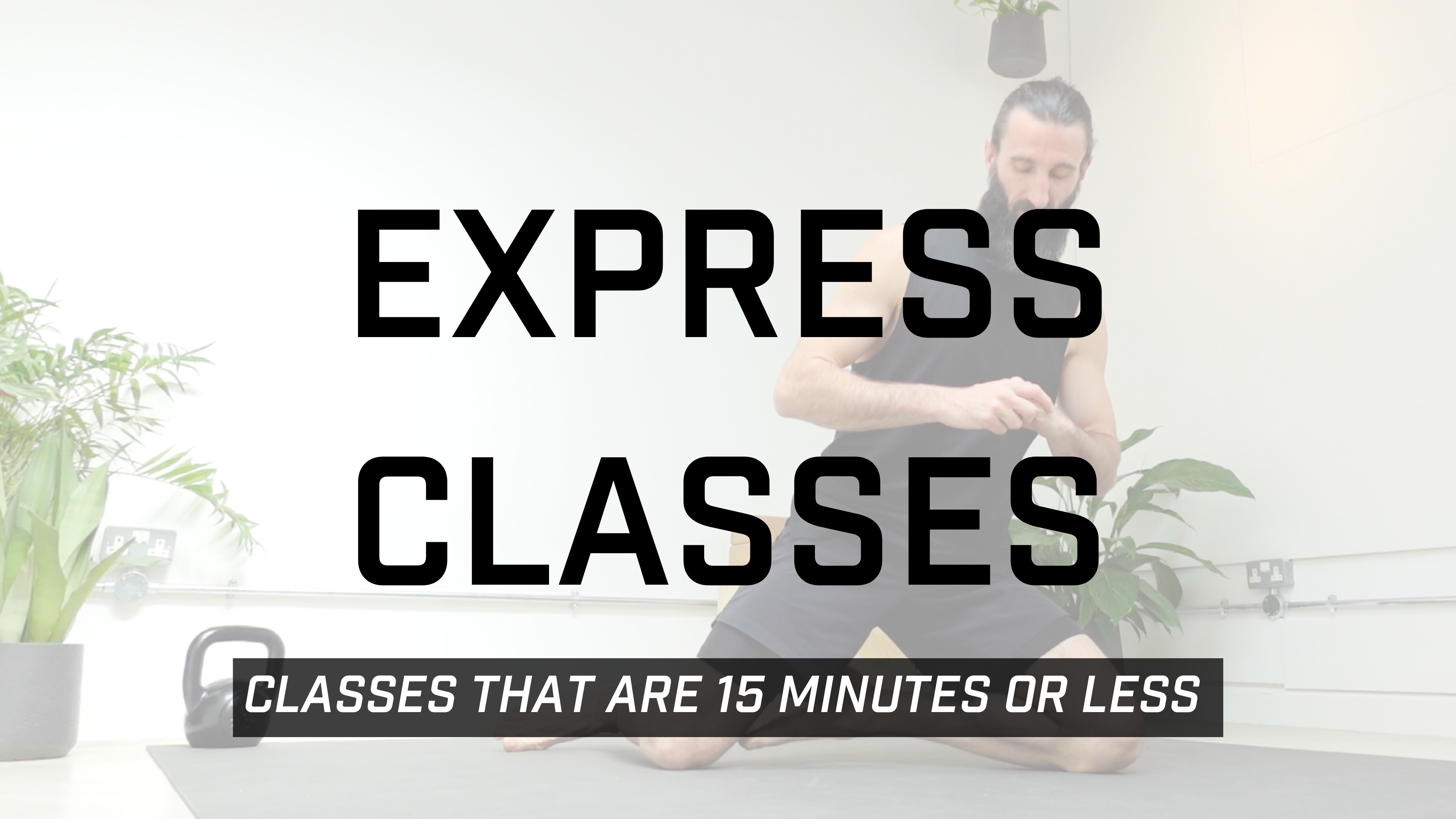 Express (15 mins or less)