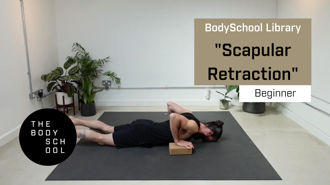 Beginners Scapular Retraction