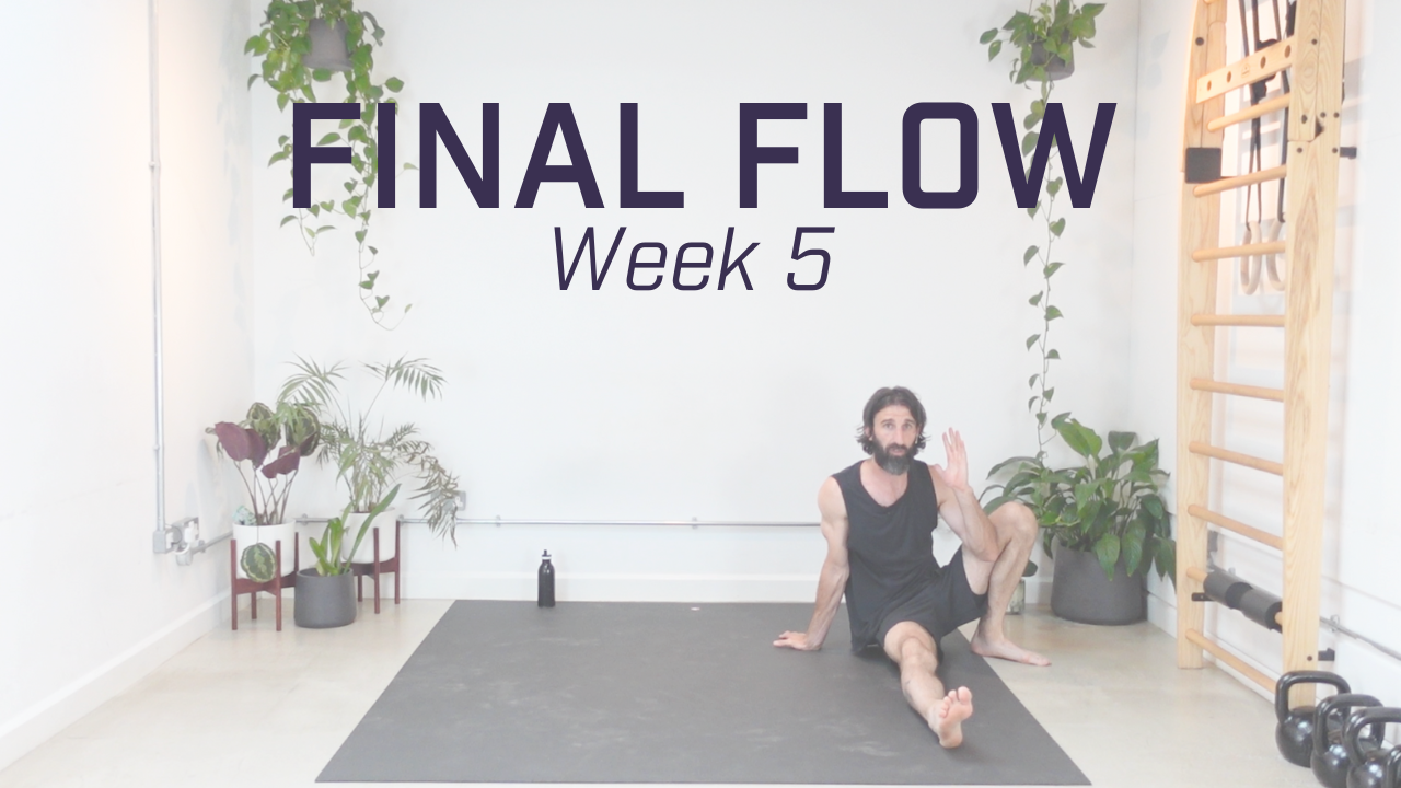 Week 5  - Final Flow